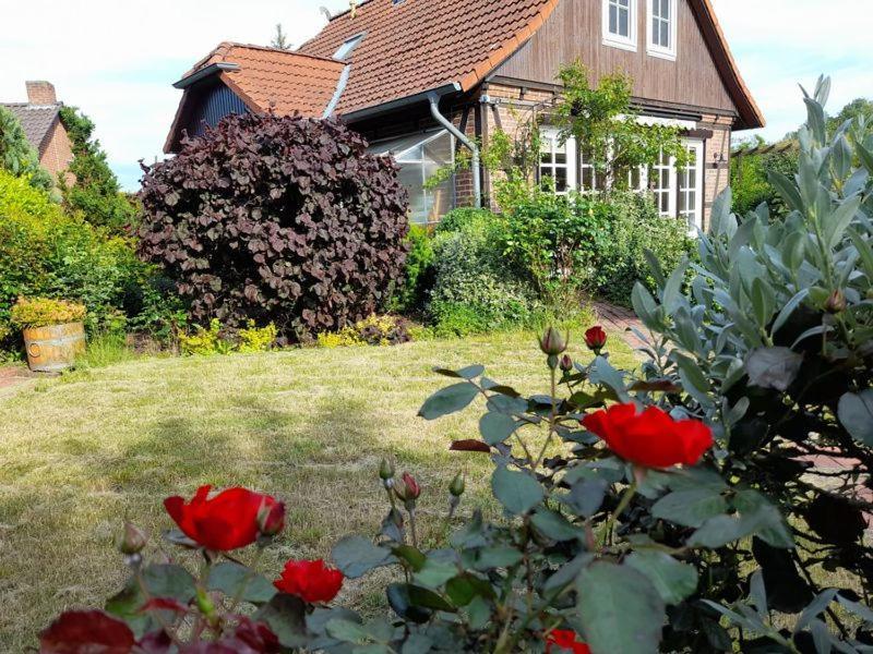 Ferienhaus Gartower See Екстериор снимка